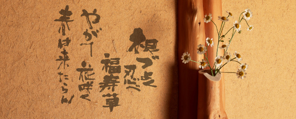 �������A���C���[�W